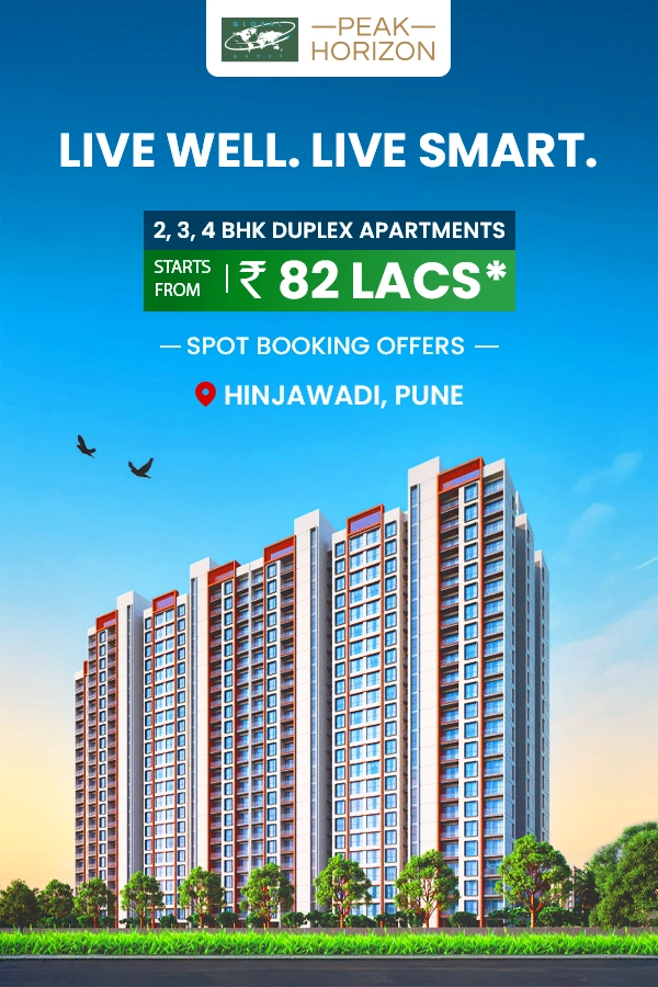 Peak Horizon Project View 1