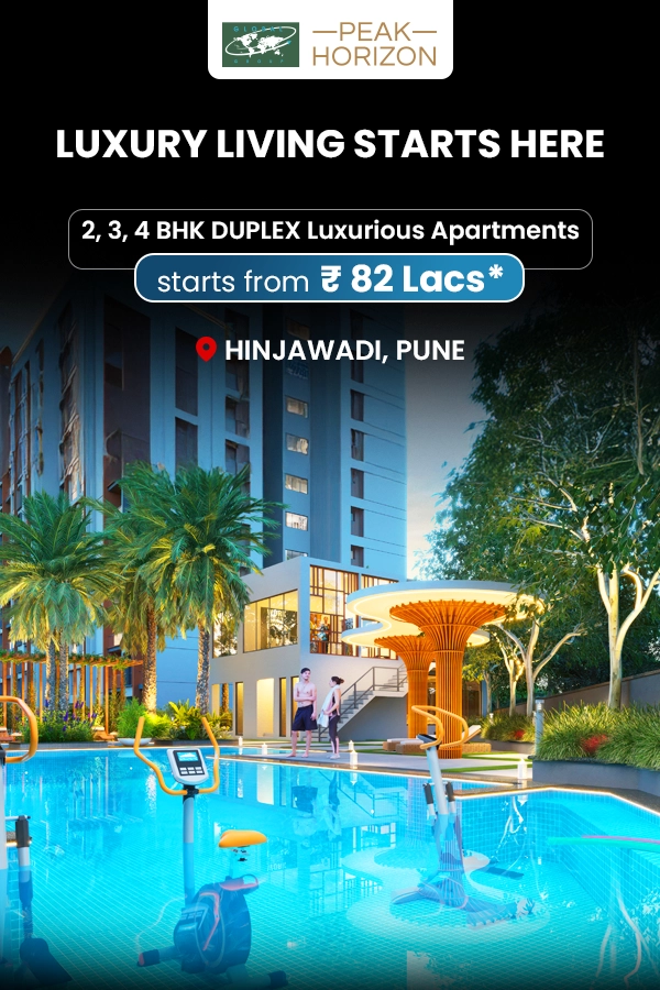 Peak Horizon Project View 2